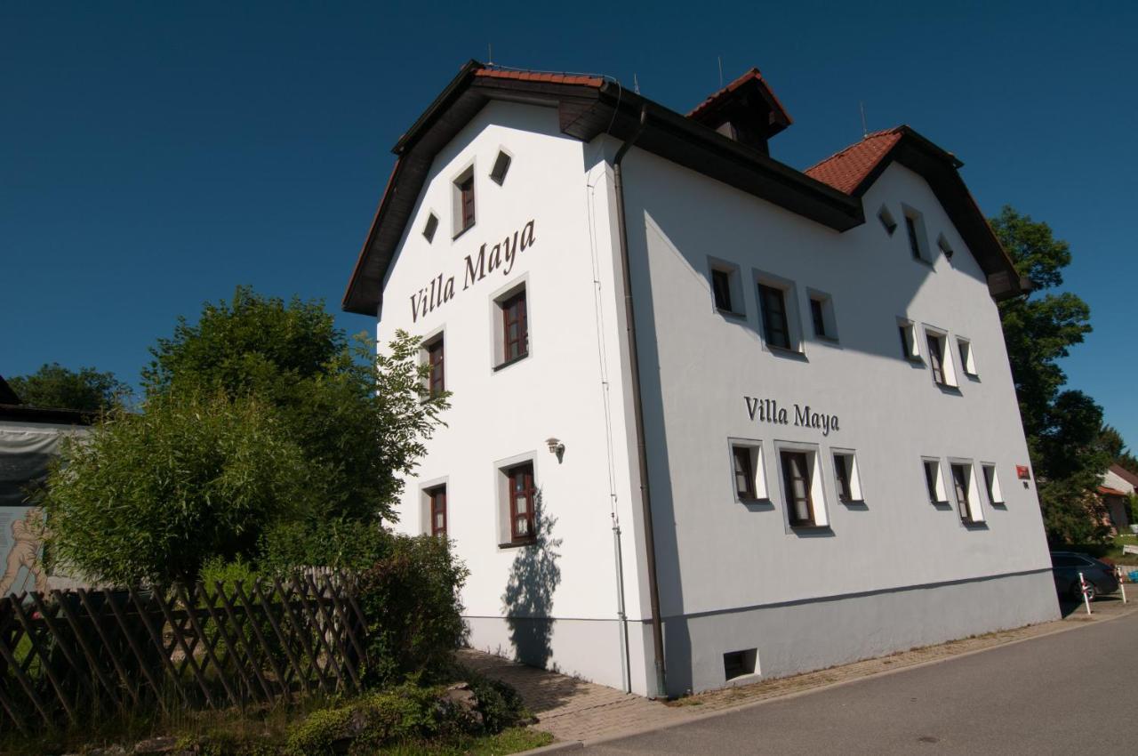 Villa Maya Horni Plana Exterior photo