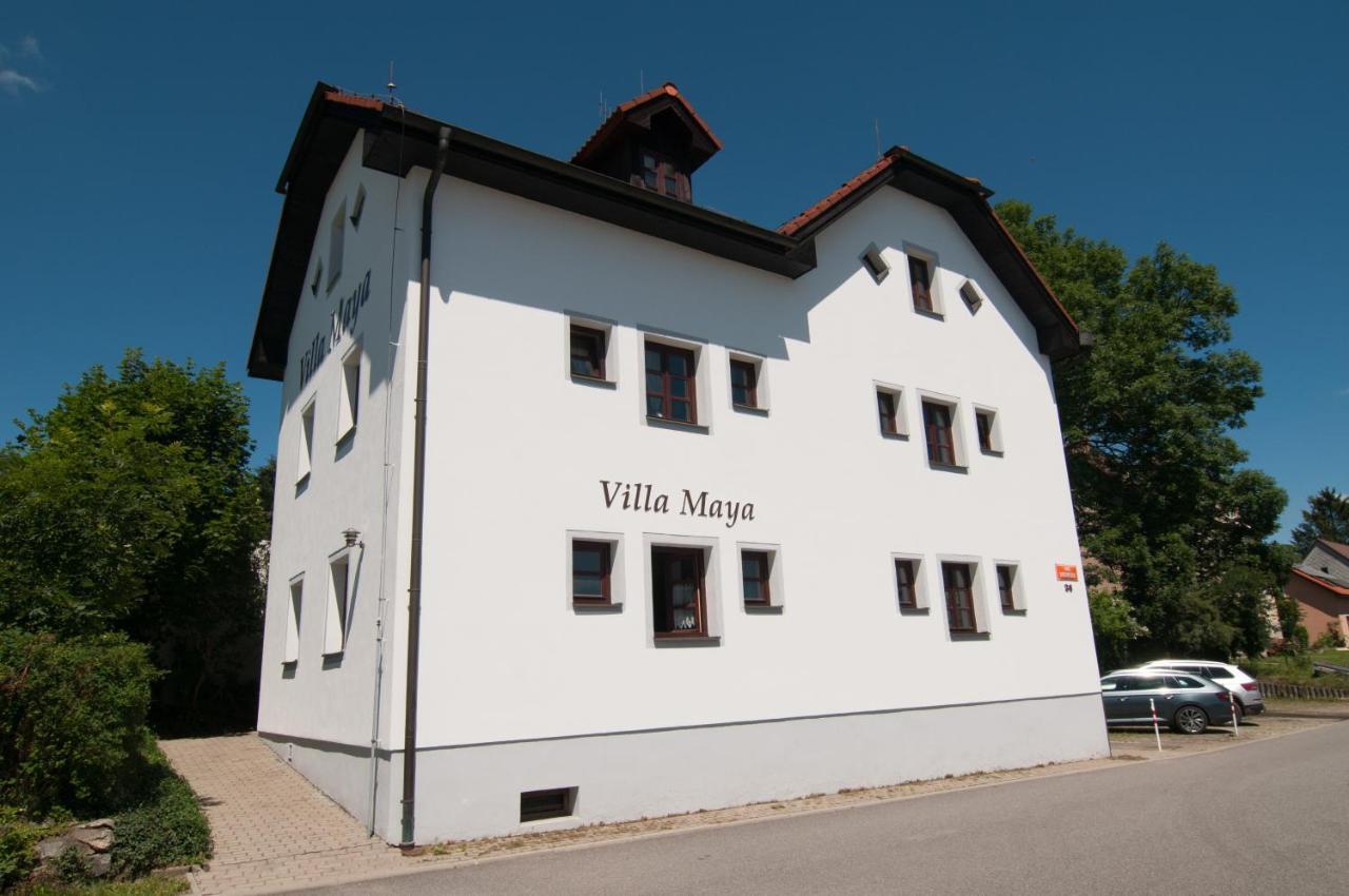 Villa Maya Horni Plana Exterior photo